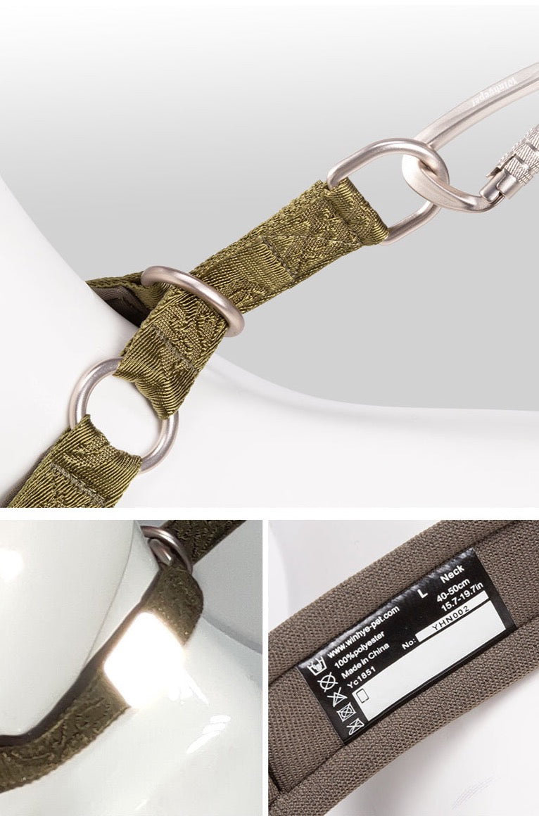Hundehalsband Cordura - Komfort & Stil vereint