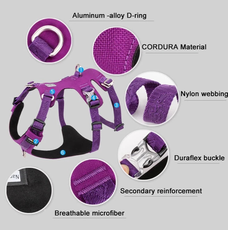 Ultraleichtes Doppel-H-Hundegeschirr Cordura