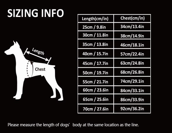 Hundejacke für kalte Tage - Ihr Begleiter für Outdoor-Abenteuer!
