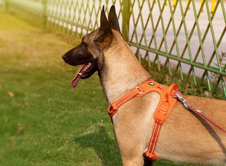 True love Reflektierendes Hundegeschirr Nylon reflektieren des Hunde geschirr einstellbar komfortable Steuerung Step-In brillante truelove tlh5654, Hundegeschirr mit 3M Reflexion - Sonderedition