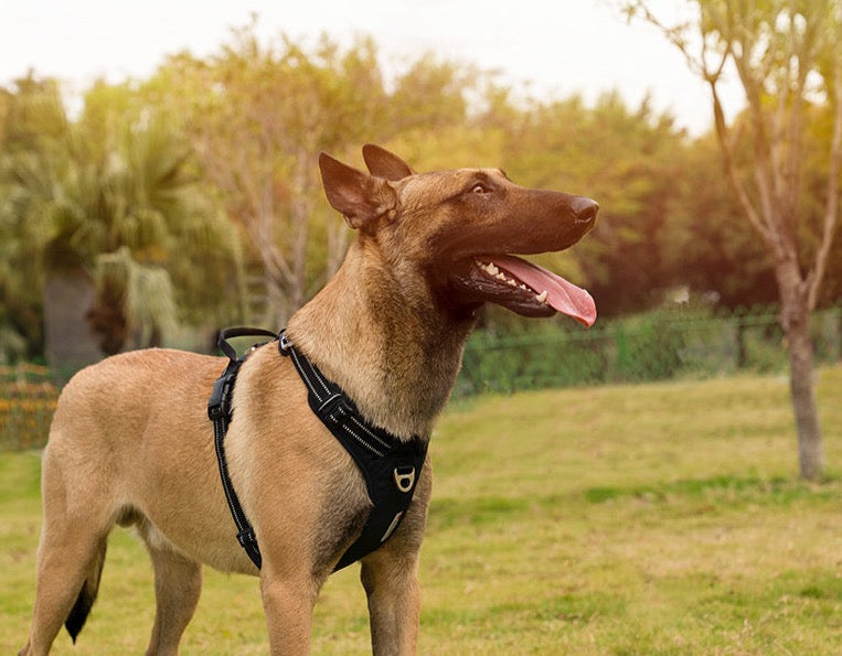 True love Reflektierendes Hundegeschirr Nylon reflektieren des Hunde geschirr einstellbar komfortable Steuerung Step-In brillante truelove tlh5654, Hundegeschirr mit 3M Reflexion - Sonderedition