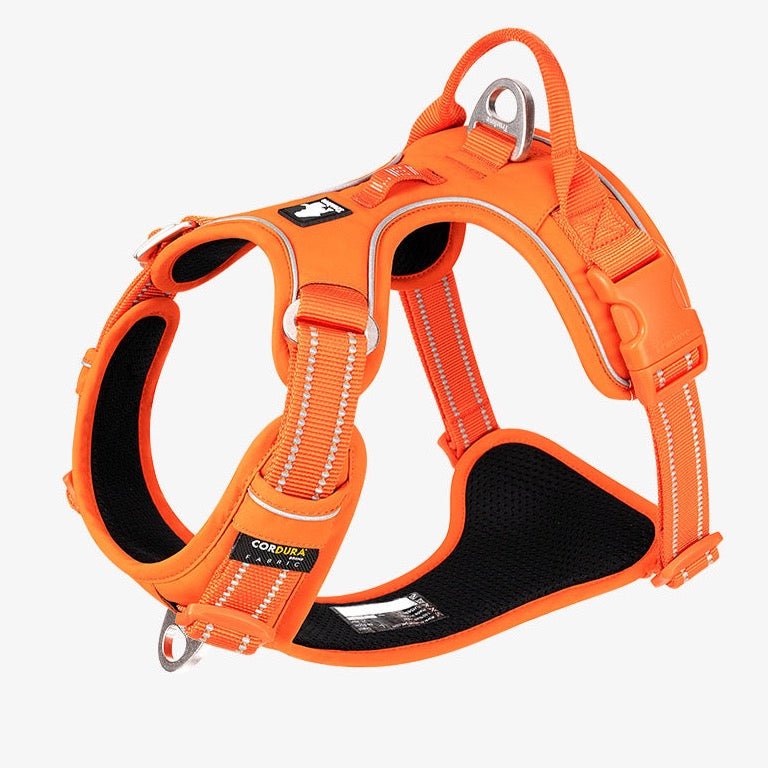 True love Reflektierendes Hundegeschirr Nylon reflektieren des Hunde geschirr einstellbar komfortable Steuerung Step-In brillante truelove tlh5654, Hundegeschirr mit 3M Reflexion - Sonderedition