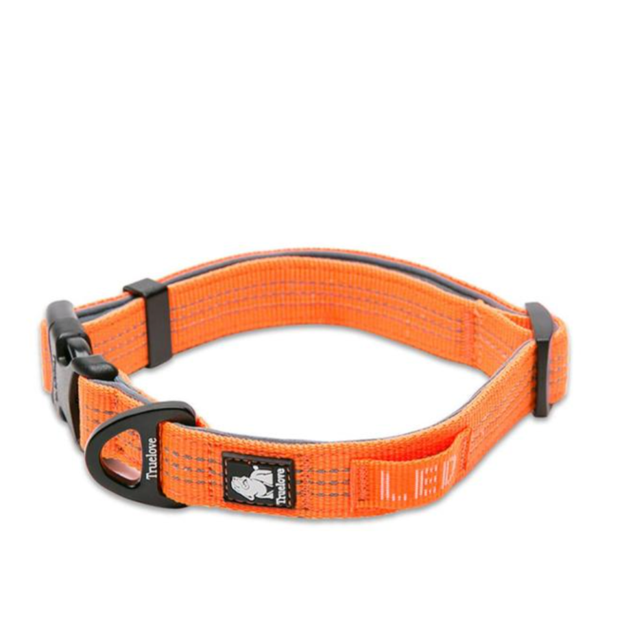 Sportliches Hundehalsband Trainingshalsband rundum reflektierend