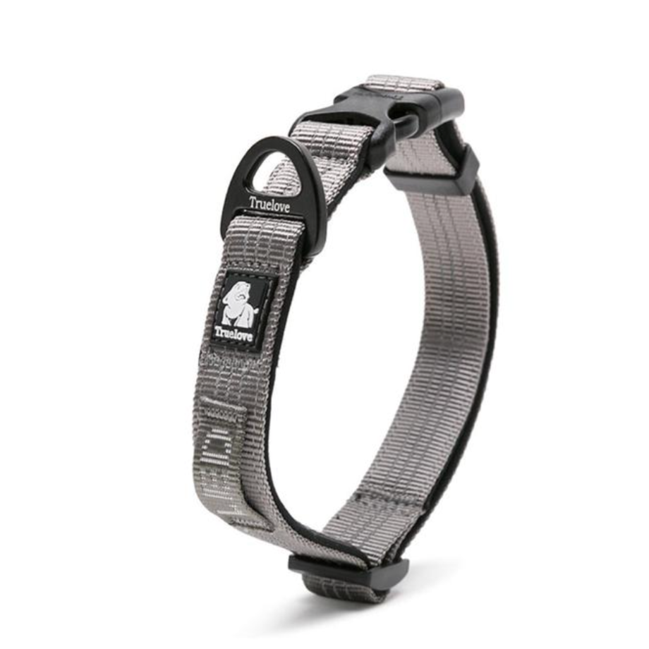 Sportliches Hundehalsband Trainingshalsband rundum reflektierend