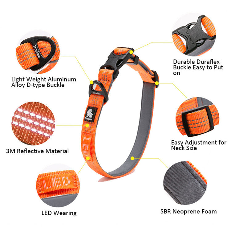 Sportliches Hundehalsband Trainingshalsband rundum reflektierend