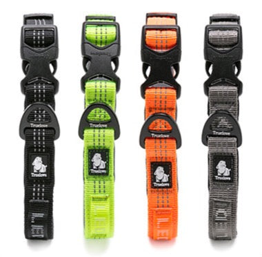 Sportliches Hundehalsband Trainingshalsband rundum reflektierend