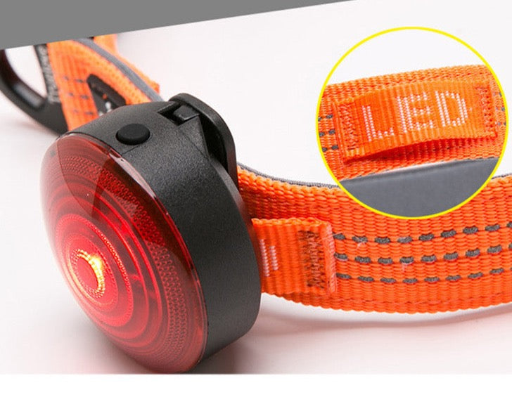 Sportliches Hundehalsband Trainingshalsband rundum reflektierend