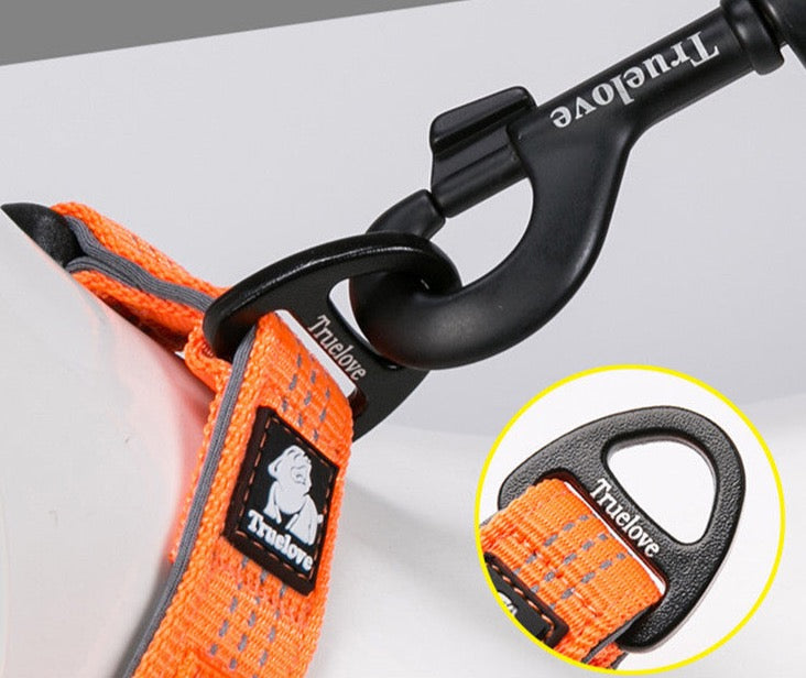 Sportliches Hundehalsband Trainingshalsband rundum reflektierend