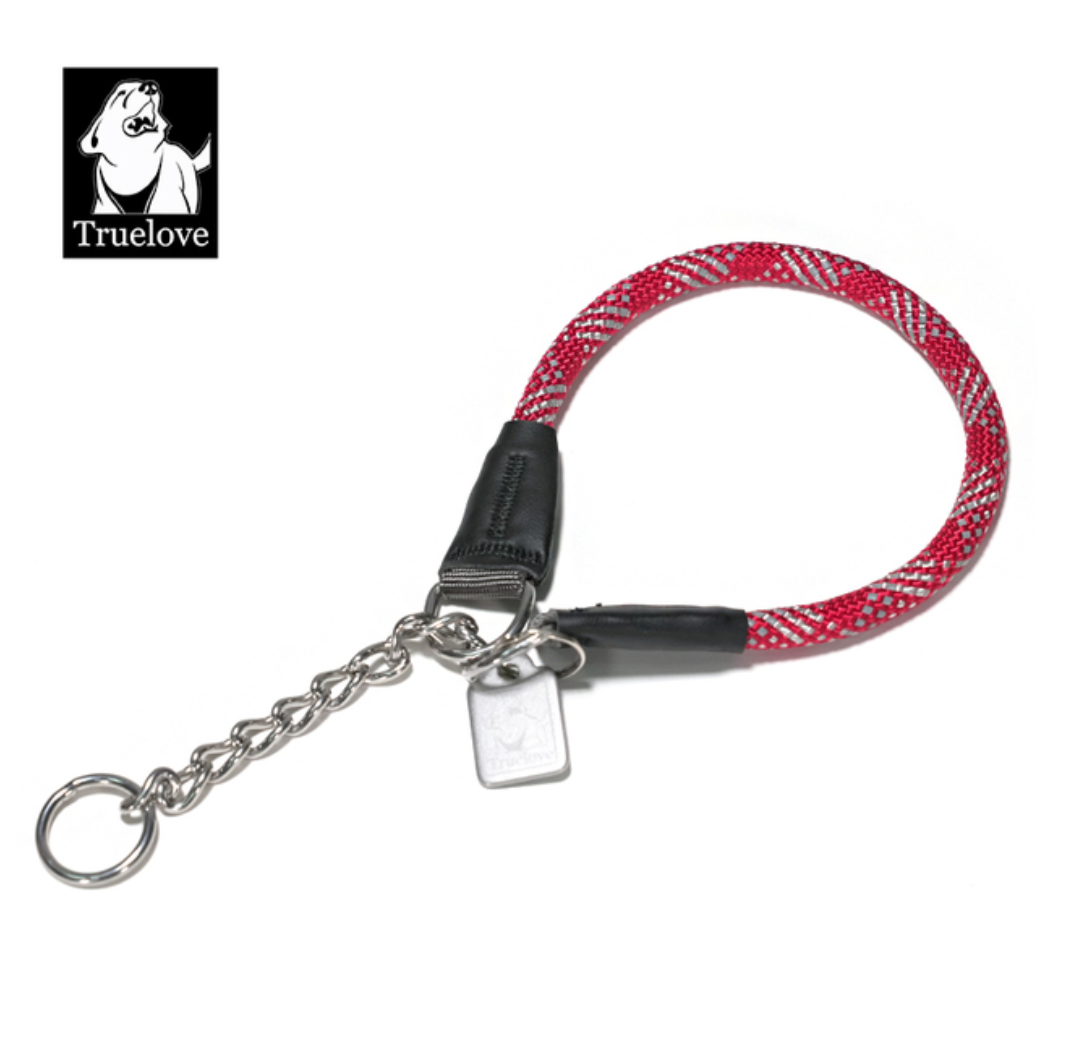 Reflektierendes Hundehalsband mit Kettenzugstop V3.0