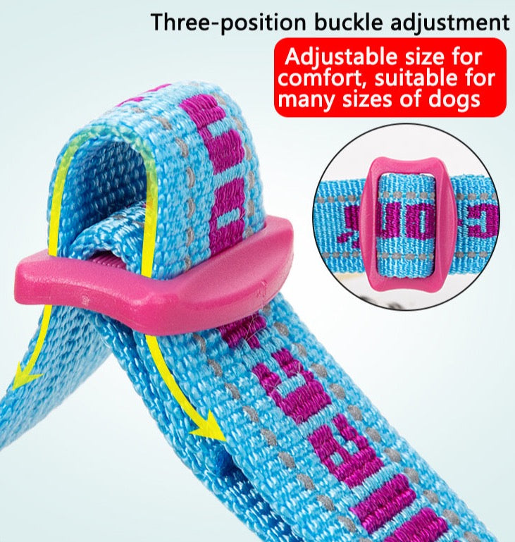 Hundehalsband mit Kettenzugstop “TRUE LOVE COLLECTION”