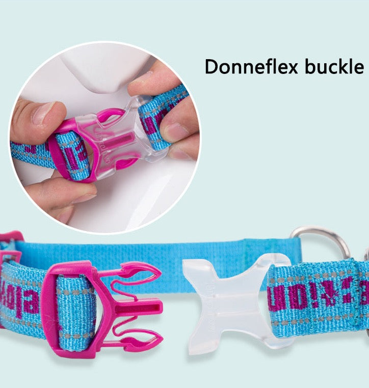 Hundehalsband mit Kettenzugstop “TRUE LOVE COLLECTION”