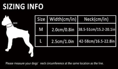 Hundehalsband mit Kettenzugstop “TRUE LOVE COLLECTION”