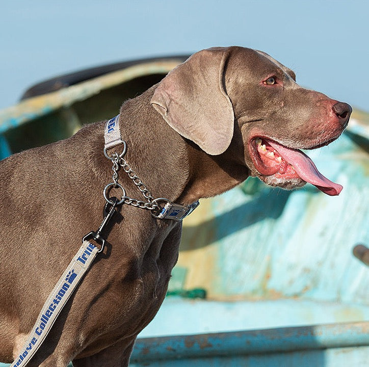 Hundehalsband mit Kettenzugstop “TRUE LOVE COLLECTION”
