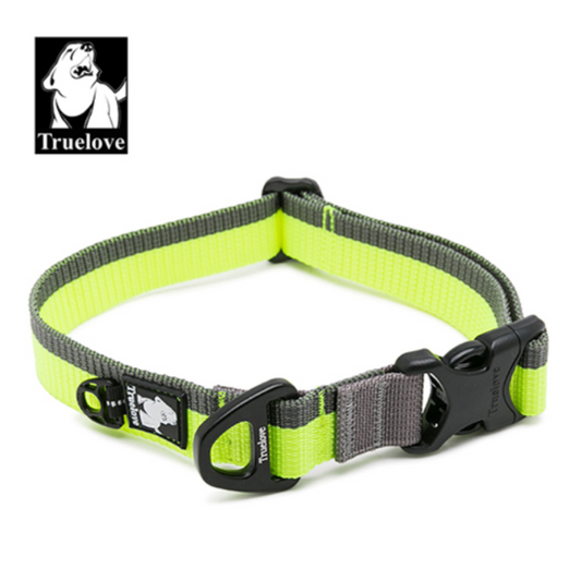 Sportliches Trainingshalsband zweifarbig rundum reflektierend