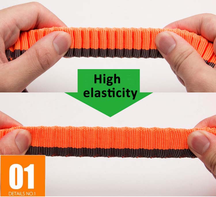 Nylon Bungee Jogging Hundeleine