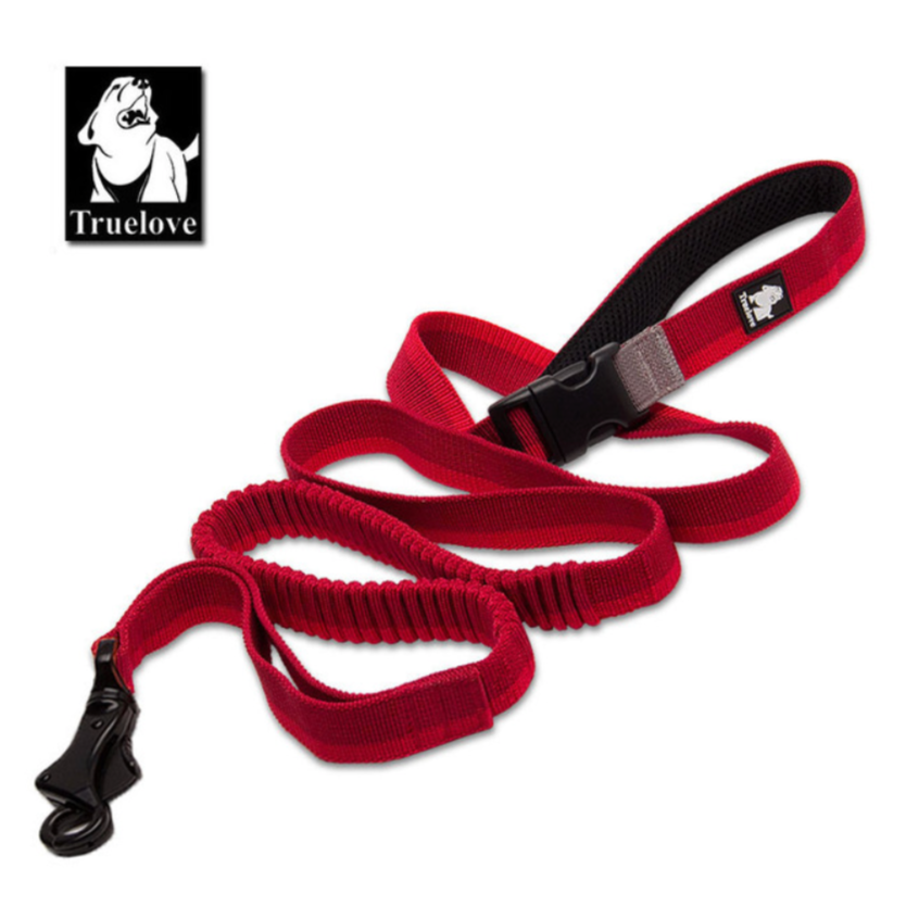 Nylon Bungee Jogging Hundeleine