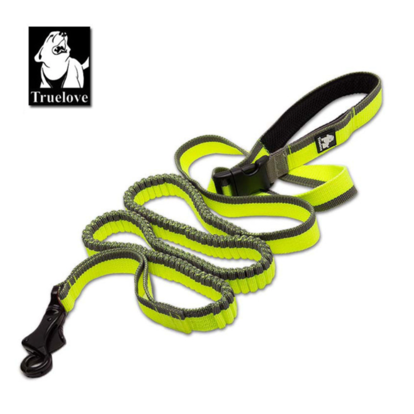 Nylon Bungee Jogging Hundeleine