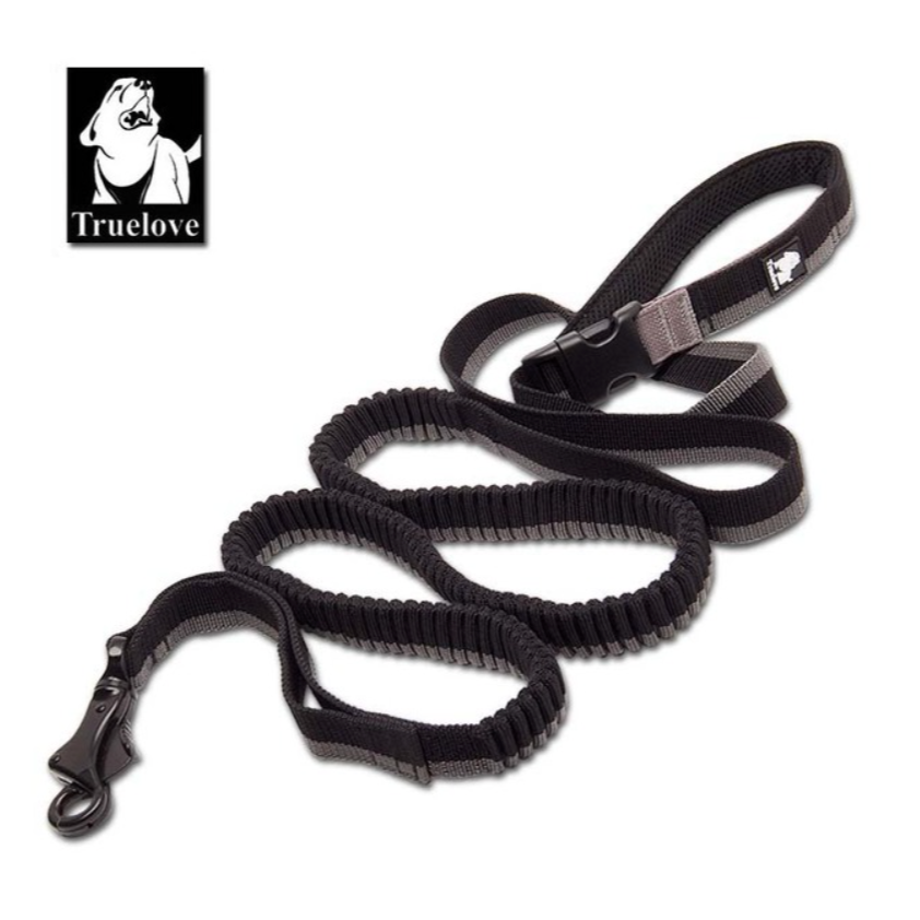 Nylon Bungee Jogging Hundeleine