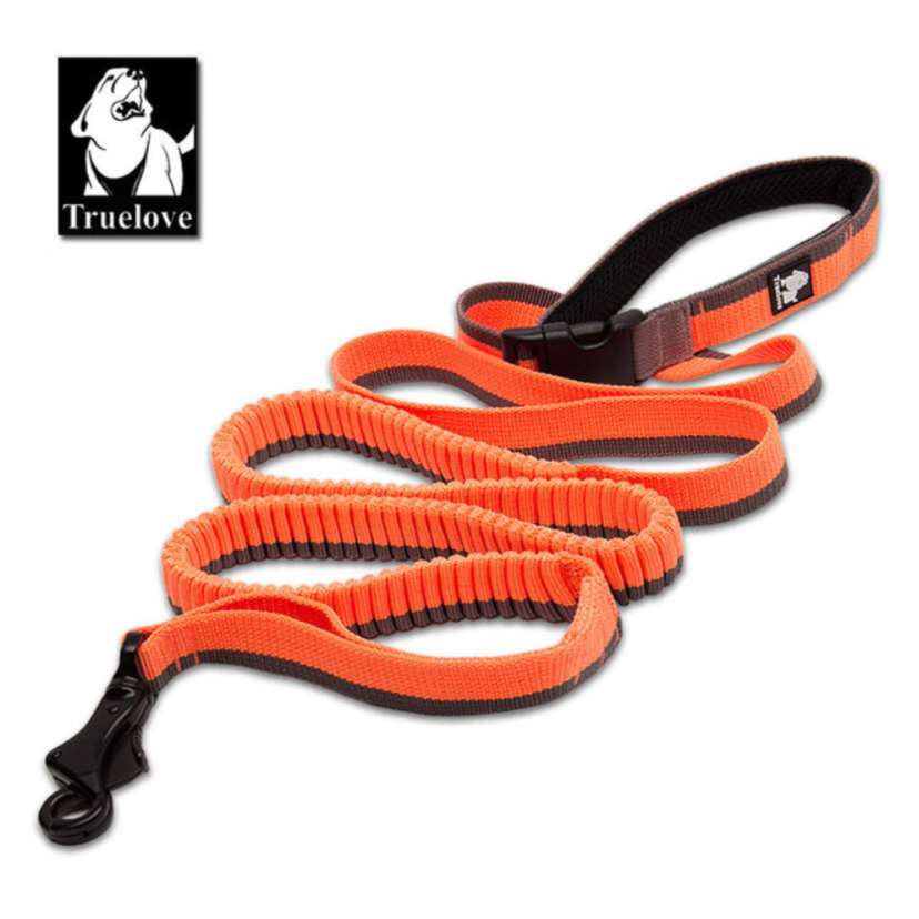 Nylon Bungee Jogging Hundeleine