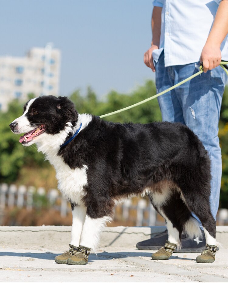 Wasserfeste robuste Hundeschuhe "Armey Green"