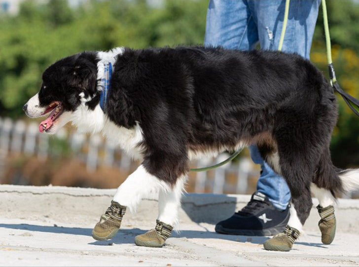 Wasserfeste robuste Hundeschuhe "Armey Green"