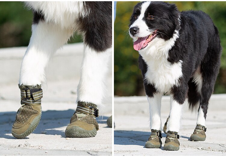 Wasserfeste robuste Hundeschuhe "Armey Green"