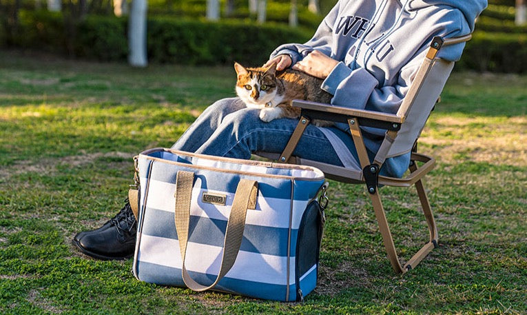 Hundetasche Luxus, Elegante Dog Carrier für stilvolle Tierliebhaber