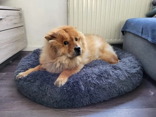 Super flauschiges Hundebett