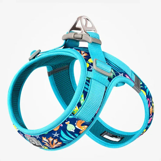 Hundegeschirr Limited Sommer Edition "V2"
