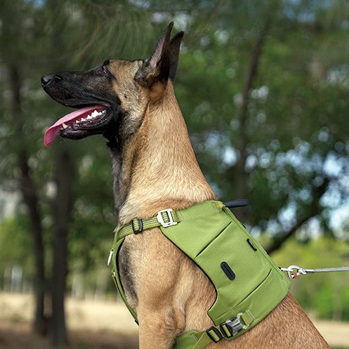 Hundegeschirr mit Taschen Cordura
