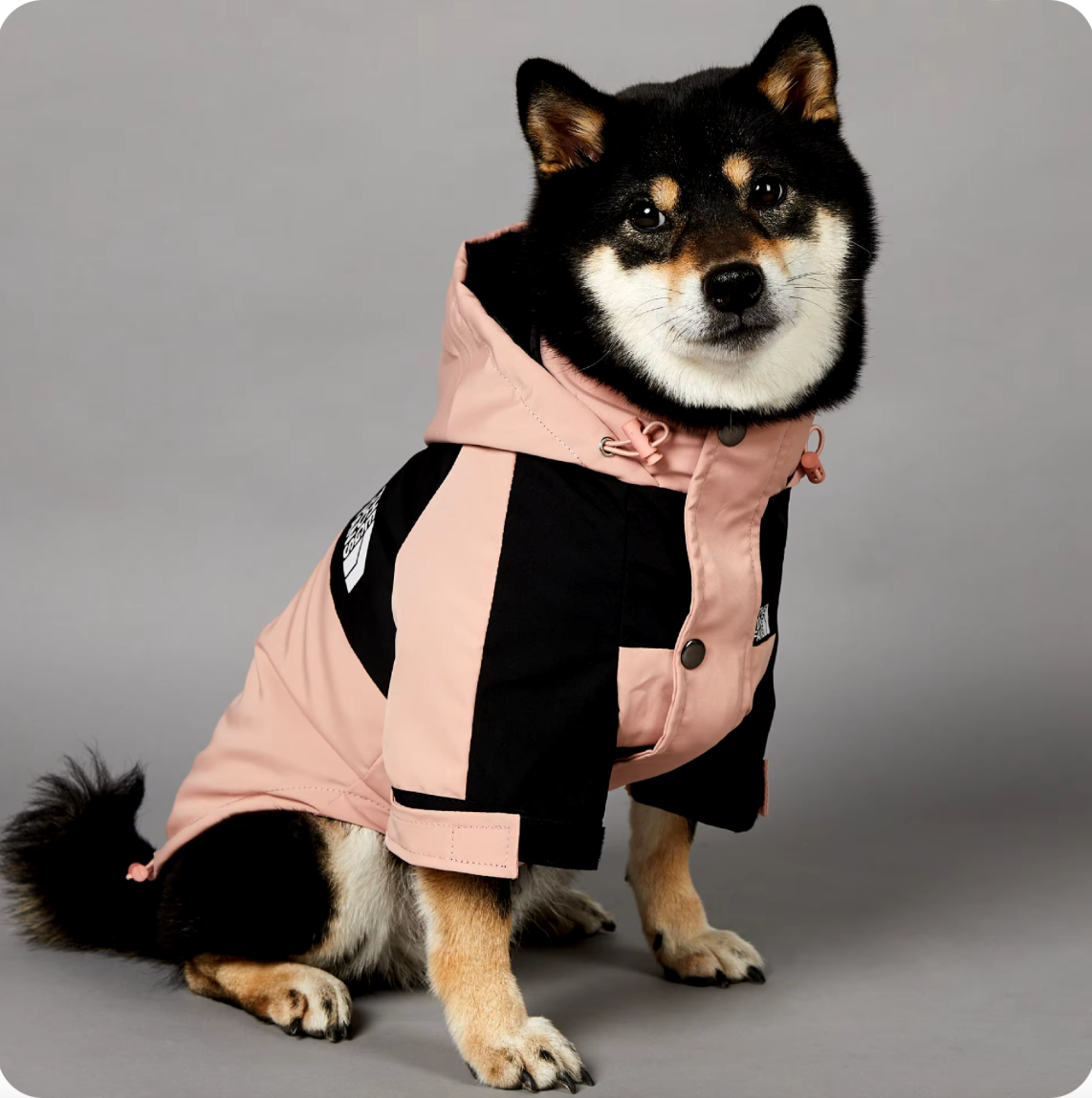 Wetterfeste Hunderegenjacke