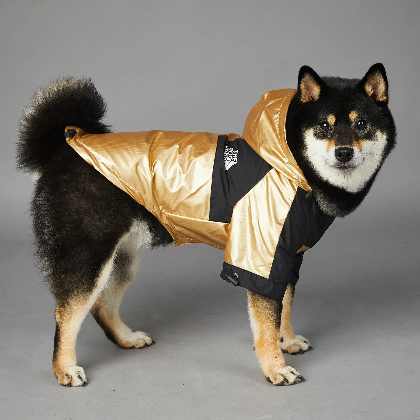 Wasserdichte Hundejacke mit Kapuze "Gold"