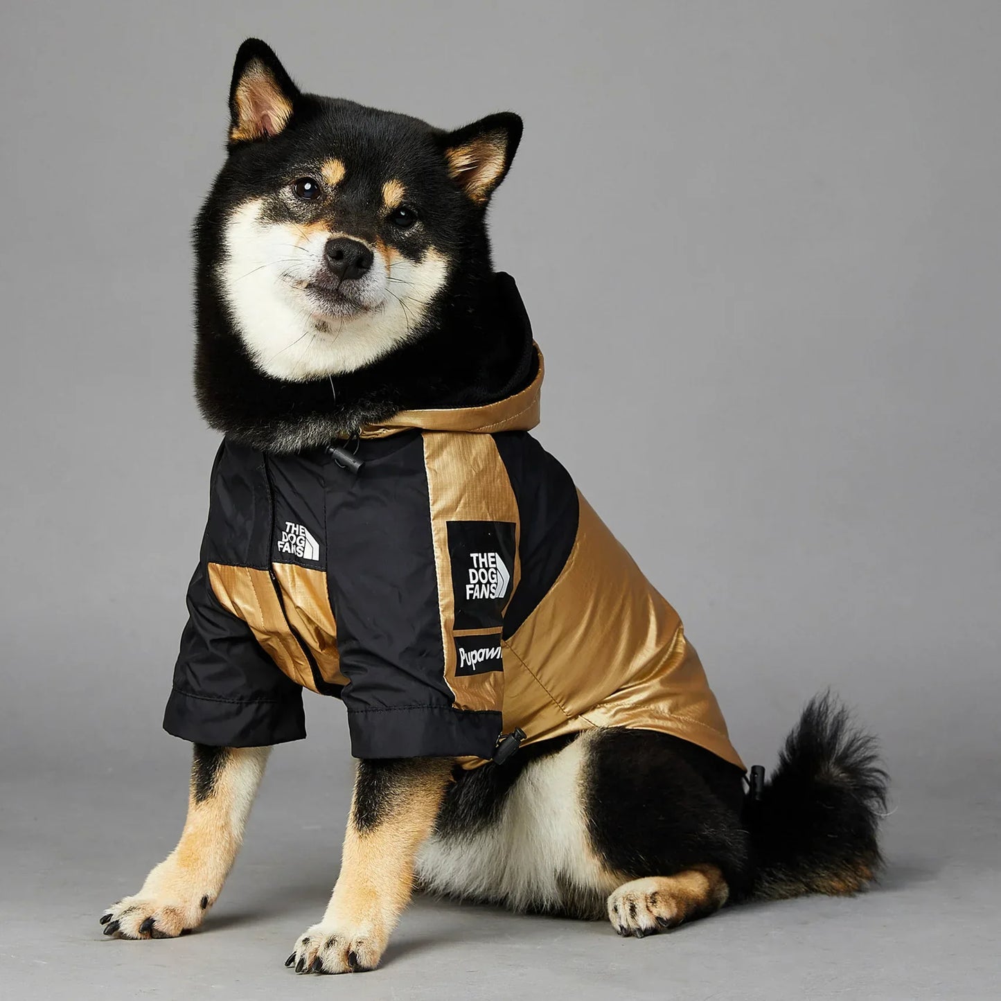 Wasserdichte Hundejacke mit Kapuze "Gold"