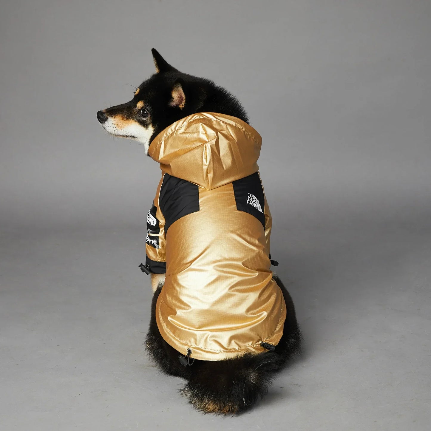Wasserdichte Hundejacke mit Kapuze "Gold"