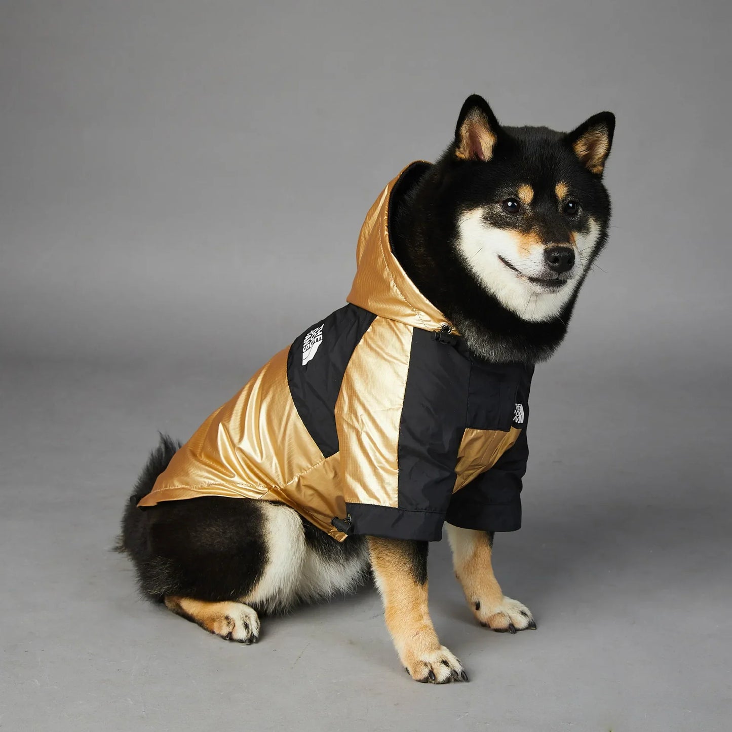 Wasserdichte Hundejacke mit Kapuze "Gold"