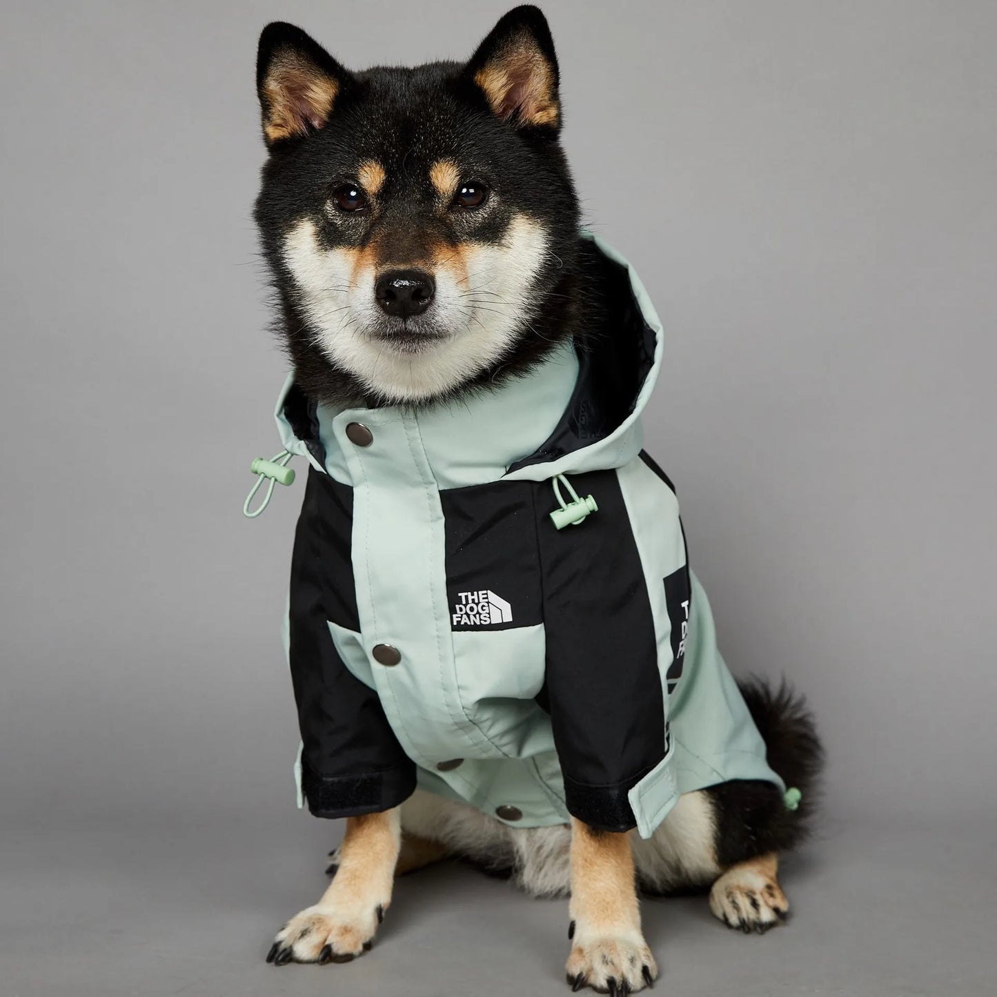 Wetterfeste Hunderegenjacke