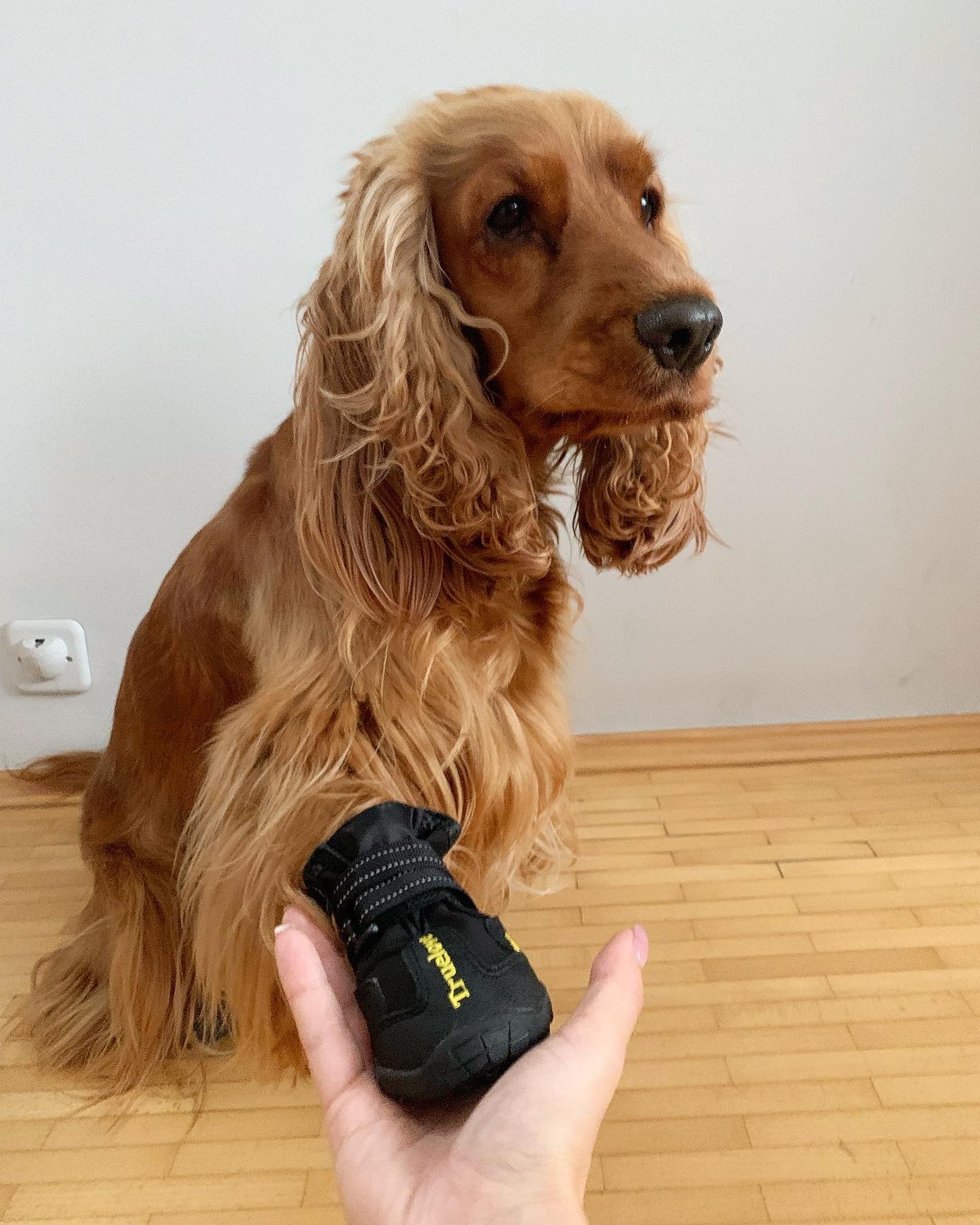 Wasserfeste robuste Hundeschuhe "V1"