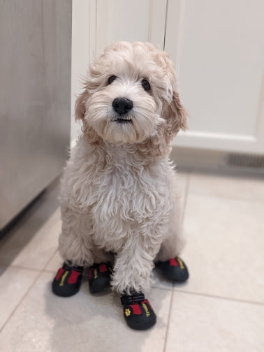 Wasserfeste robuste Hundeschuhe "V1"