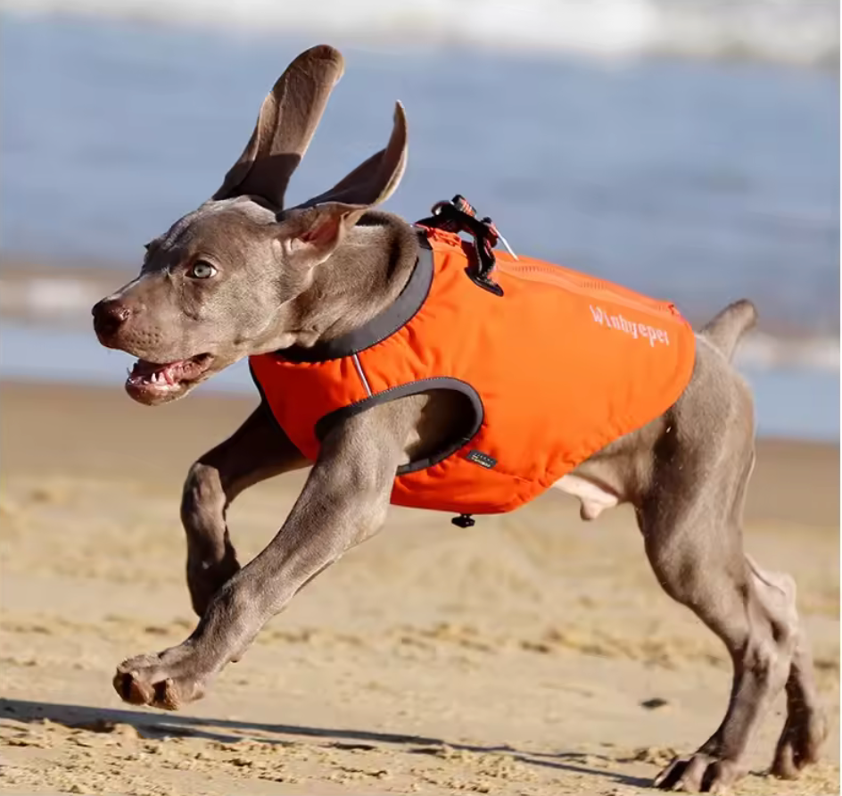 2 in 1 Hundeweste und Geschirr, Hund trägt wasserdichte TrueLove Allwetterjacke mit integriertem Geschirr und 3M Reflektoren – perfekte Hundebekleidung für schlechtes Wetter