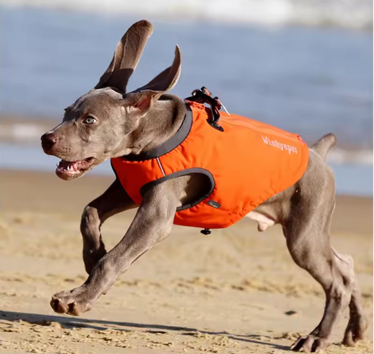 2 in 1 Hundeweste und Geschirr, Hund trägt wasserdichte TrueLove Allwetterjacke mit integriertem Geschirr und 3M Reflektoren – perfekte Hundebekleidung für schlechtes Wetter