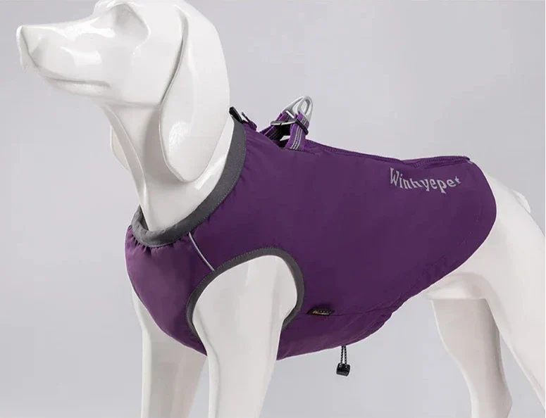 2 in 1 Hundeweste und Geschirr, Hund trägt wasserdichte TrueLove Allwetterjacke mit integriertem Geschirr und 3M Reflektoren – perfekte Hundebekleidung für schlechtes Wetter