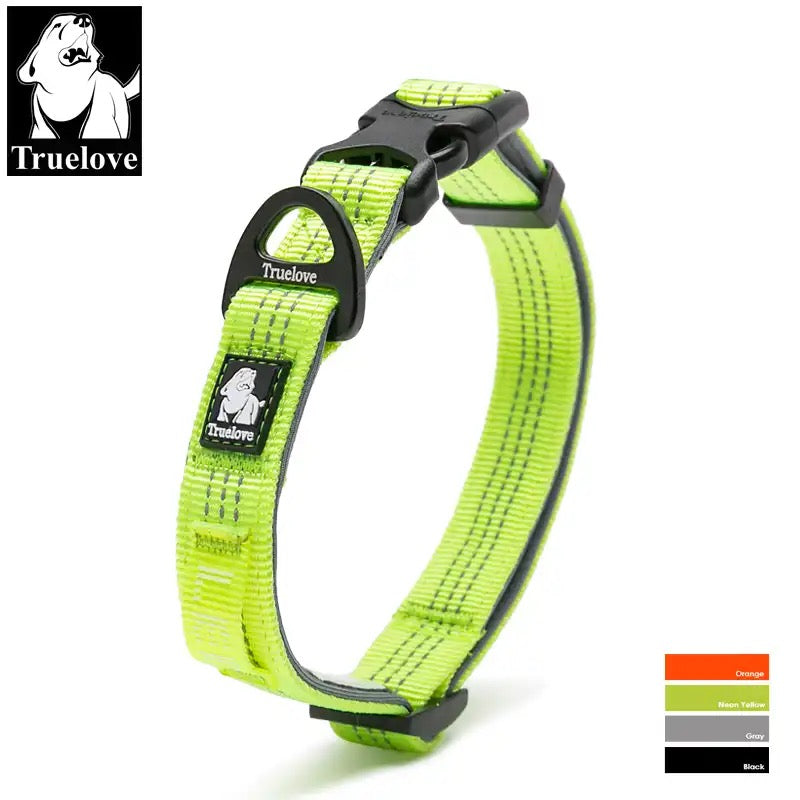 Sportliches Hundehalsband Trainingshalsband rundum reflektierend