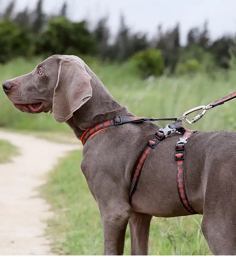 WINHYEPET Neopren gepolstertes und reflektierendes Doppel-H-Hundegesch