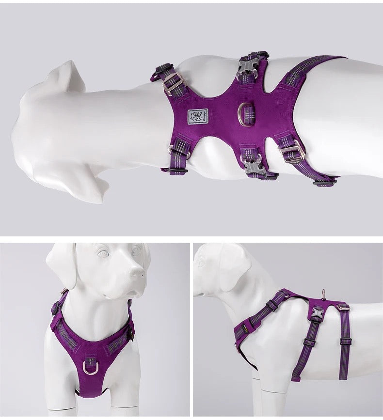 WINHYEPET reflektierendes Cordura® Doppel-H-Hundegeschirr