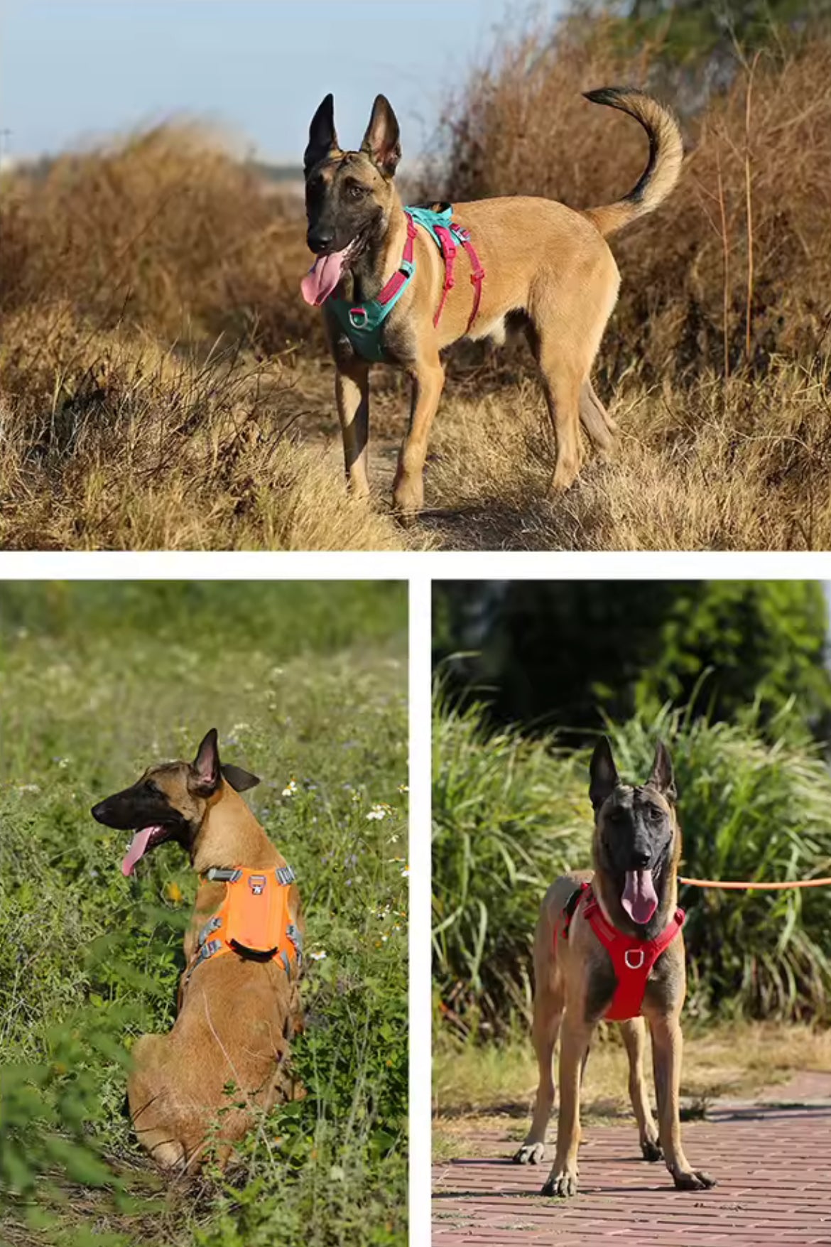 Hundegeschirr Molle Commando Vest