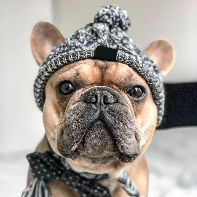 Warmhaltende gestrickte Hundemütze