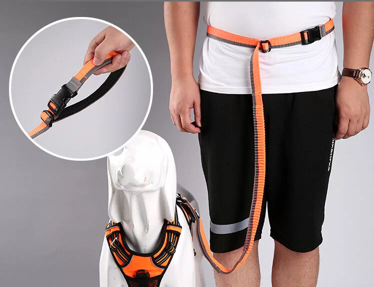 Nylon Bungee Jogging Hundeleine