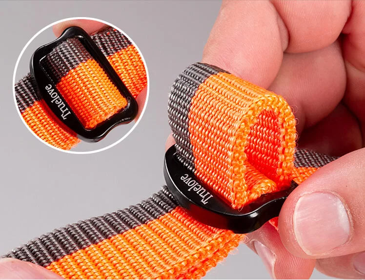 Nylon Bungee Jogging Hundeleine