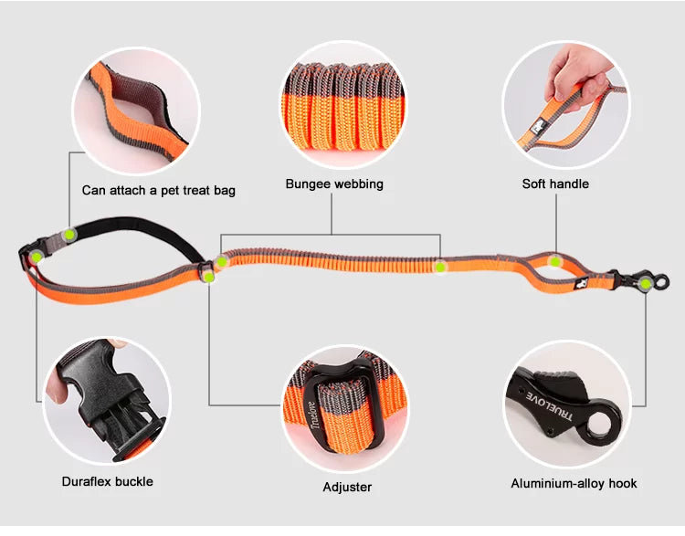 Nylon Bungee Jogging Hundeleine