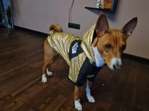 Wasserdichte Hundejacke mit Kapuze „Space Edition“